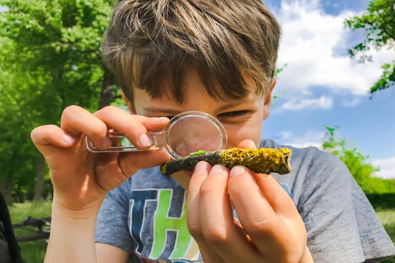 A young boy with brown hair is holding a magnifying glass. He is holding a piece of wood with a small insect on that he is looking at through the magnifying glass. 