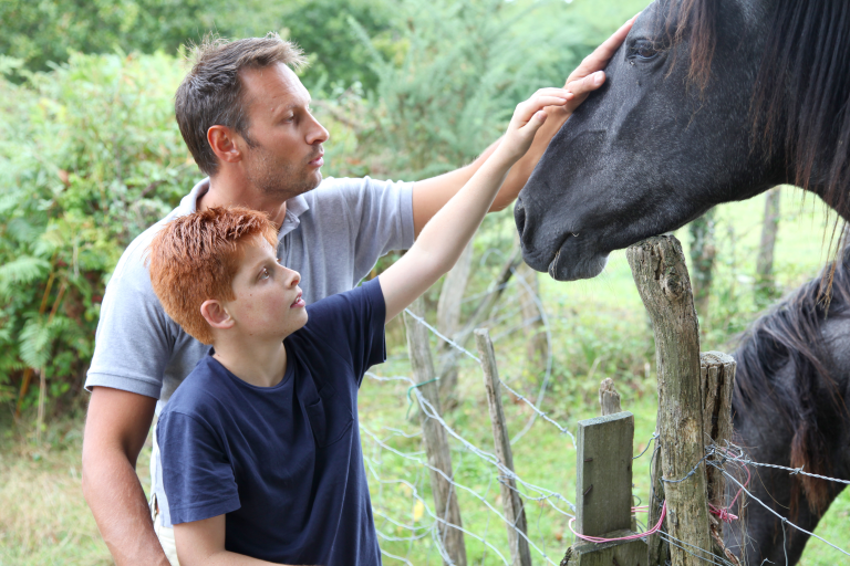 A young boy and his father stand next to each other stroking a horse in a field.