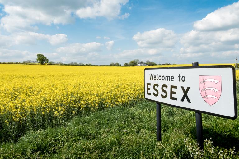 Sign reading 'welcome to Essex' against a meadow of yellow flowers under a blue sky.