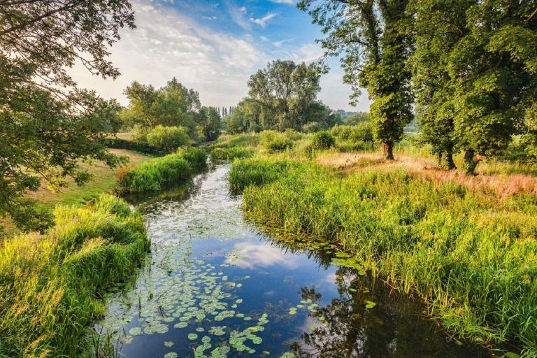A scenic view of a woodland area above a small river.