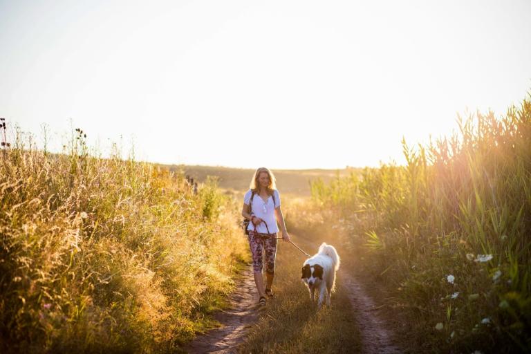 A woman walking a dog on a lead through a field of wheat in the sunshine