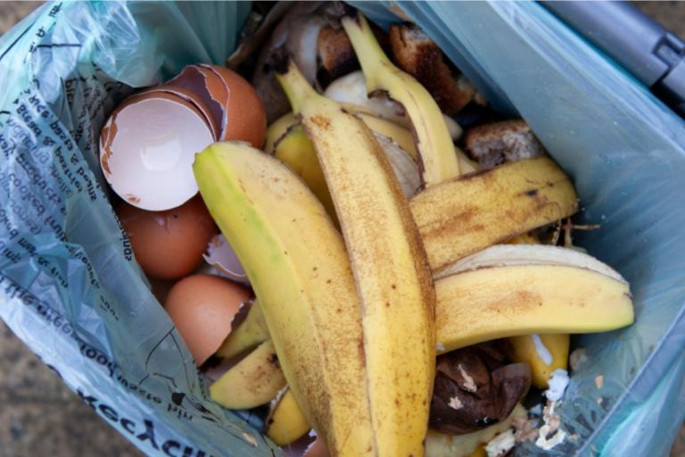 A close up image of food waste in a food recycling caddy.