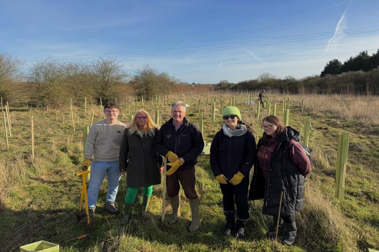 a group of people standing in a field planting trees.